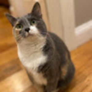 Meet your Posher, Britta